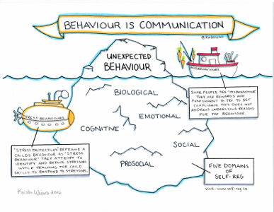 Behaviour is Communication