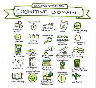 Example Stressors - Cognitive Domain