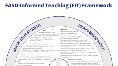 FASD-Informed Teaching (FIT) Framework